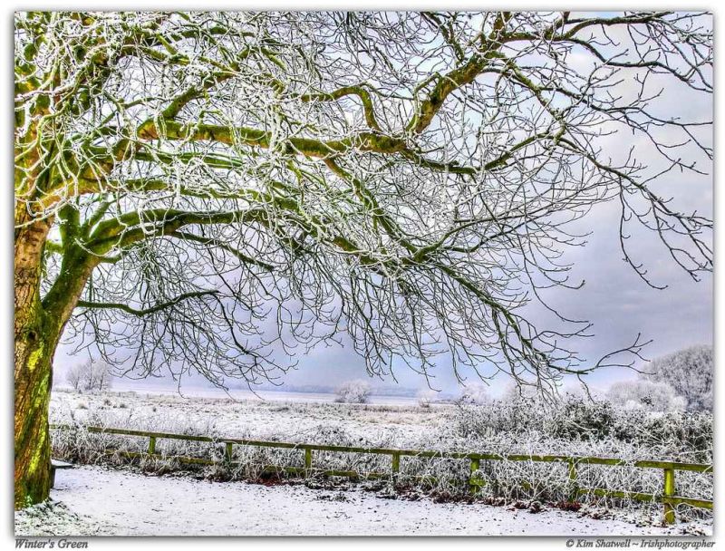 winters green.jpg